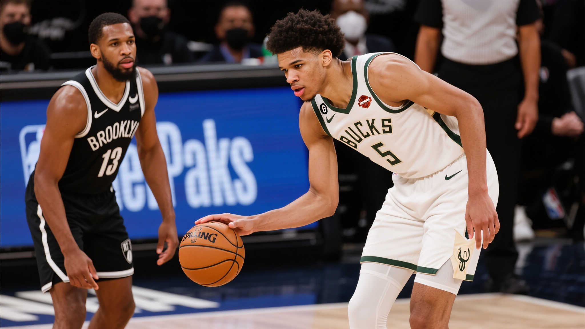 Panda·熊猫体育概况简介